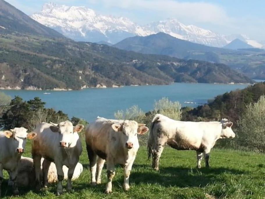 Gite De Charme : La Grange Au Lac Azur Treffort  Exterior photo